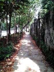 Banyan Condominium (D5), Condominium #578655071